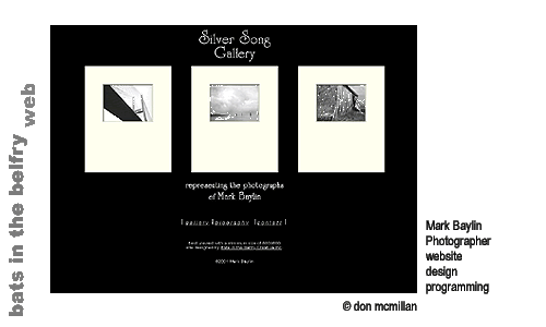mark baylin photography website design