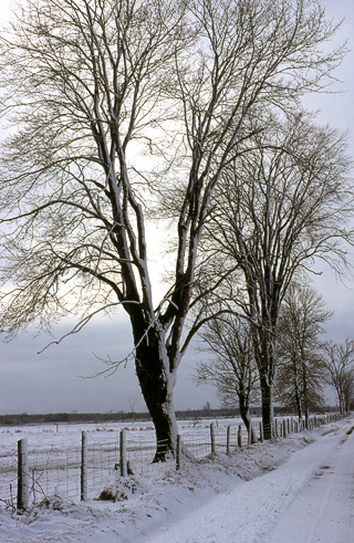 image001