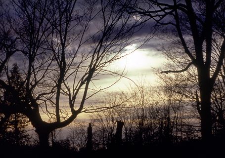 image003
