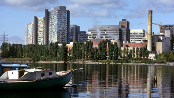 image005