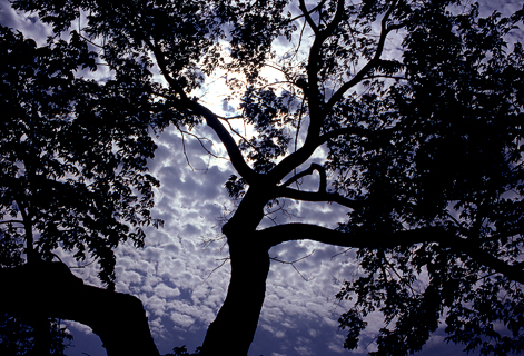 image013
