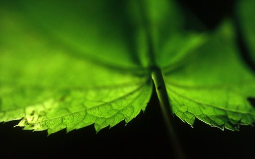 image014