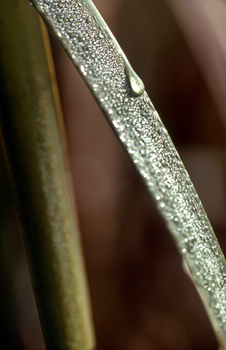 image015