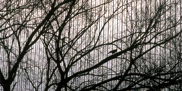image017