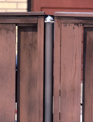 image024