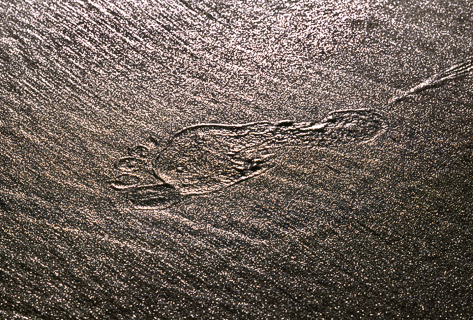 image005