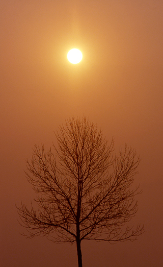 image007