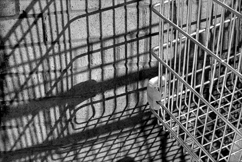 image009
