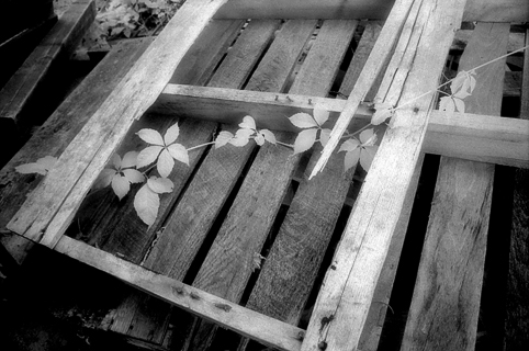 image024