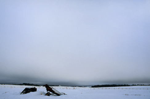 image006