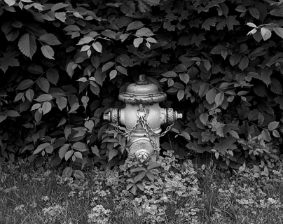 image007