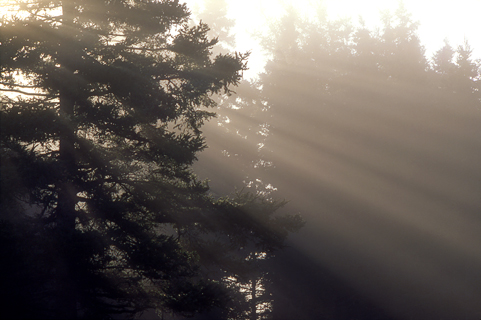 image022
