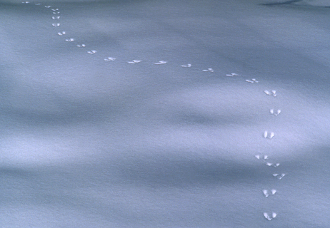 image008