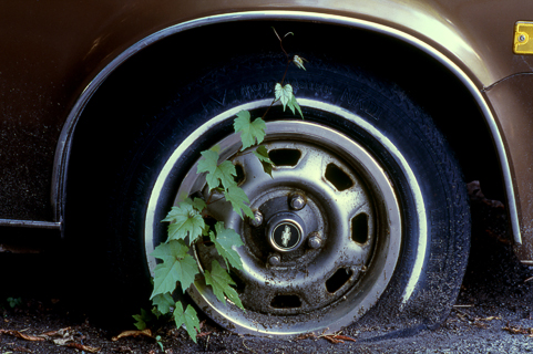 image012