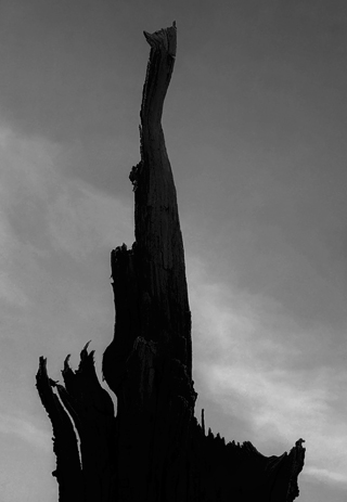 image014