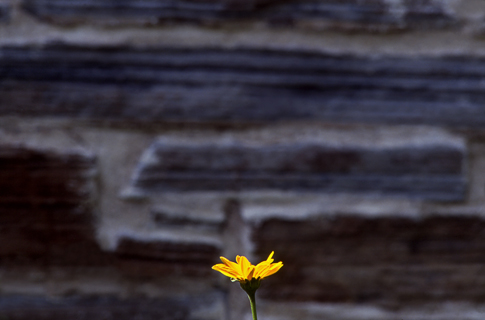 image020