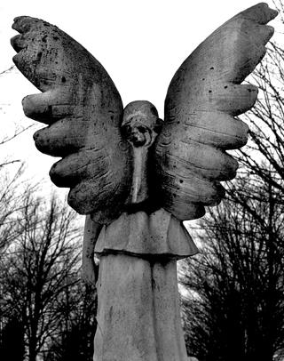 image008