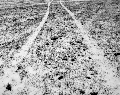 image002