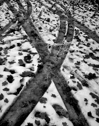 image003