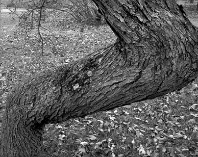 image008