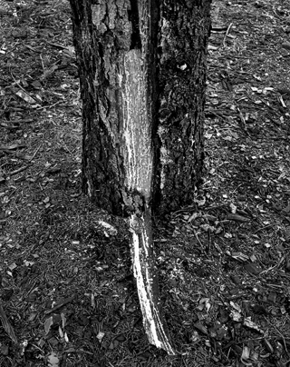 image015