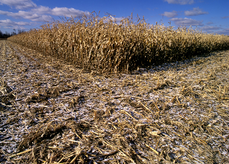 image023