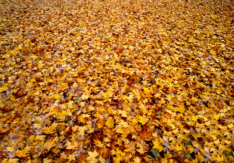 image007