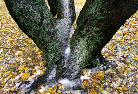 image018