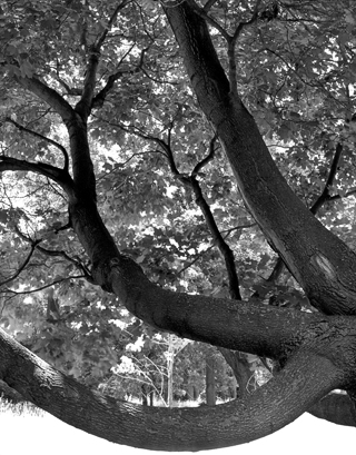 image020