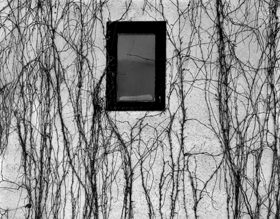 image020