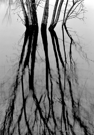 image023