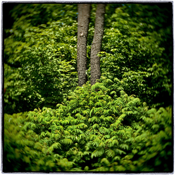 image001
