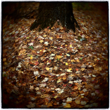 image001