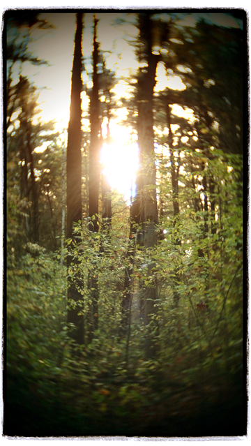 image001