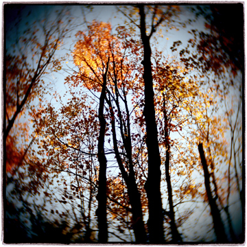 image001
