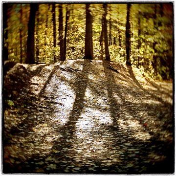 image001