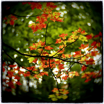 image001