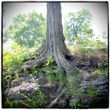 image001