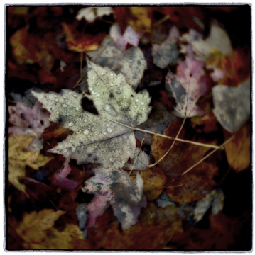 image001
