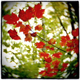 image001