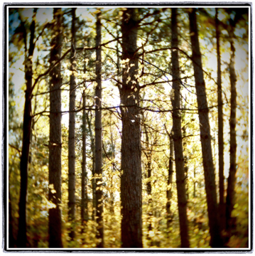 image001