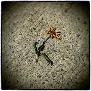 image001