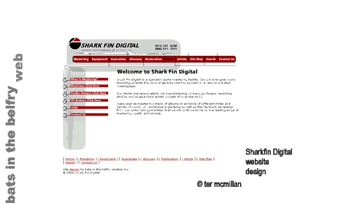 shark fin digital website design